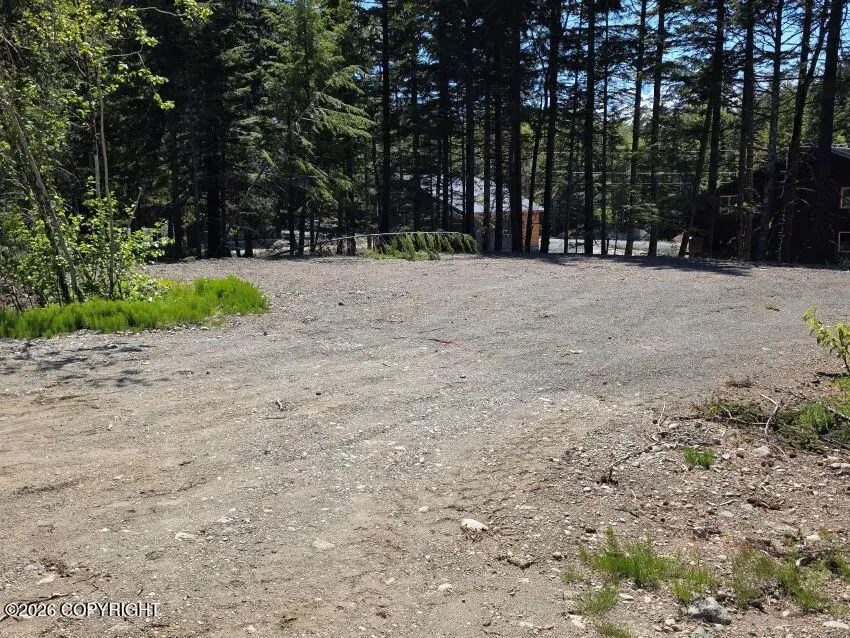 Lot 41 Martin Avenue, Haines, AK 99827 - #3