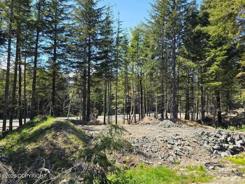Lot 42 Martin Avenue, Haines, AK 99827 - #1