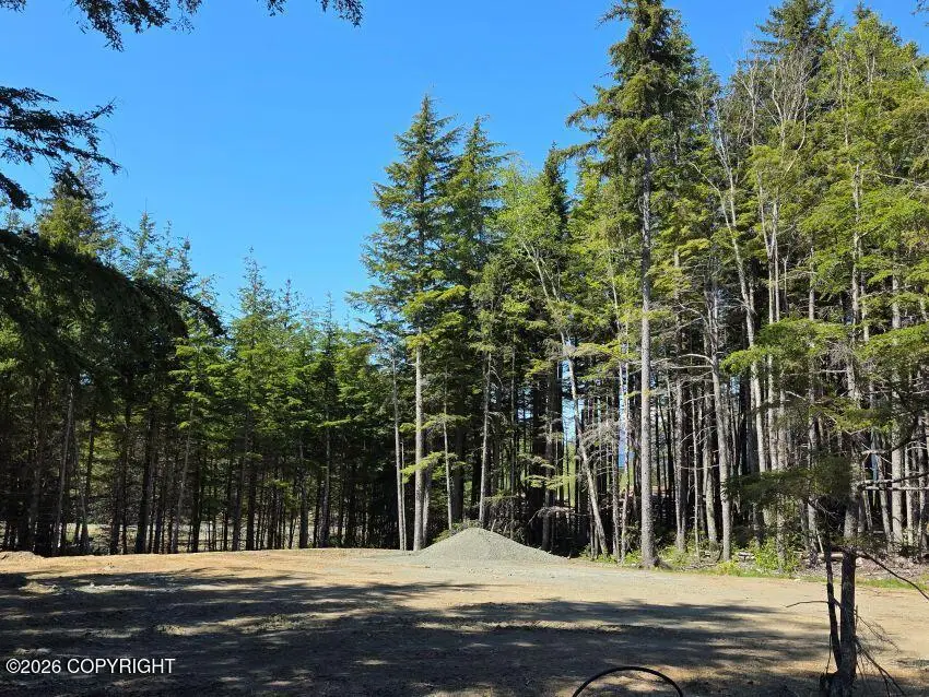 Lot 43 Martin Avenue, Haines, AK 99827 - #1