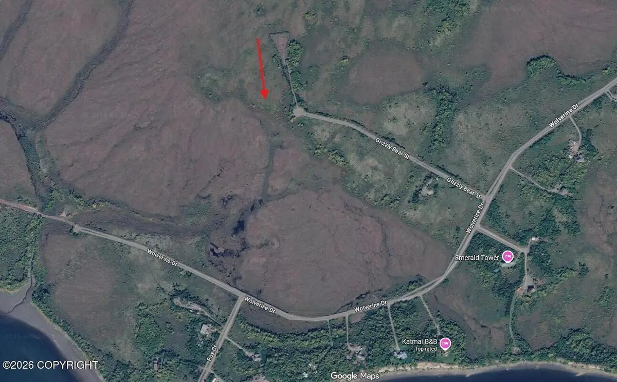 L13 Grizzly Bear Street, Naknek, AK 99633 - #1