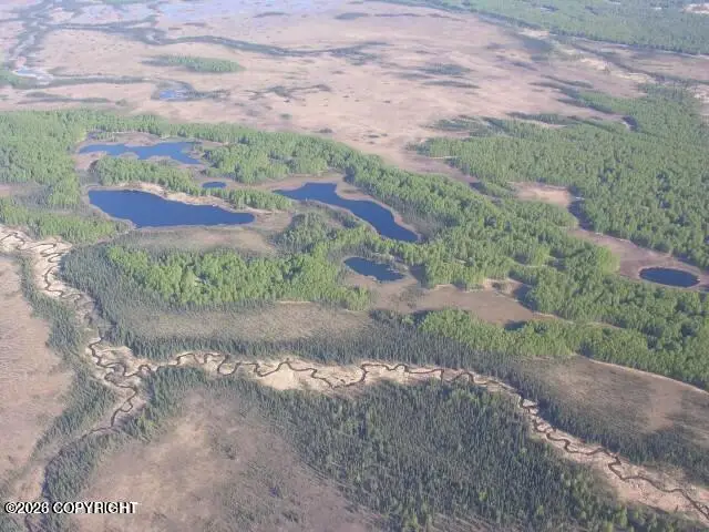 Tract C Josh Lake, Skwentna, AK 99000 - #2