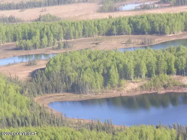 Tract C Josh Lake, Skwentna, AK 99000 - #3