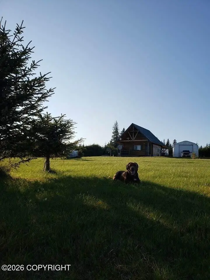31795 Whiskey Gulch Street, Anchor Point, AK 99556 - #2