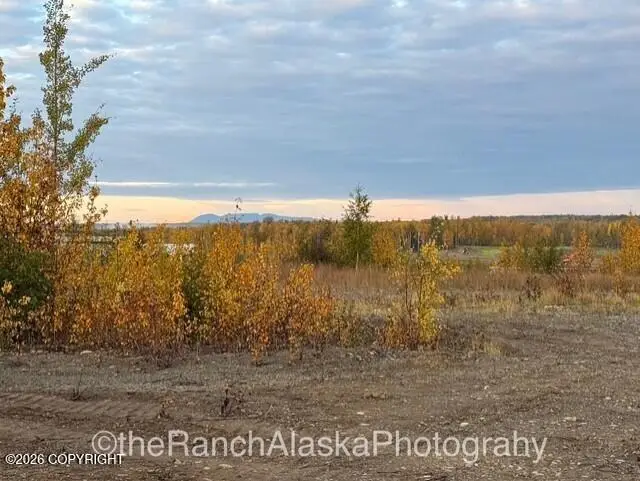 5225 E Forever View Circle, Wasilla, AK 99654 - #1