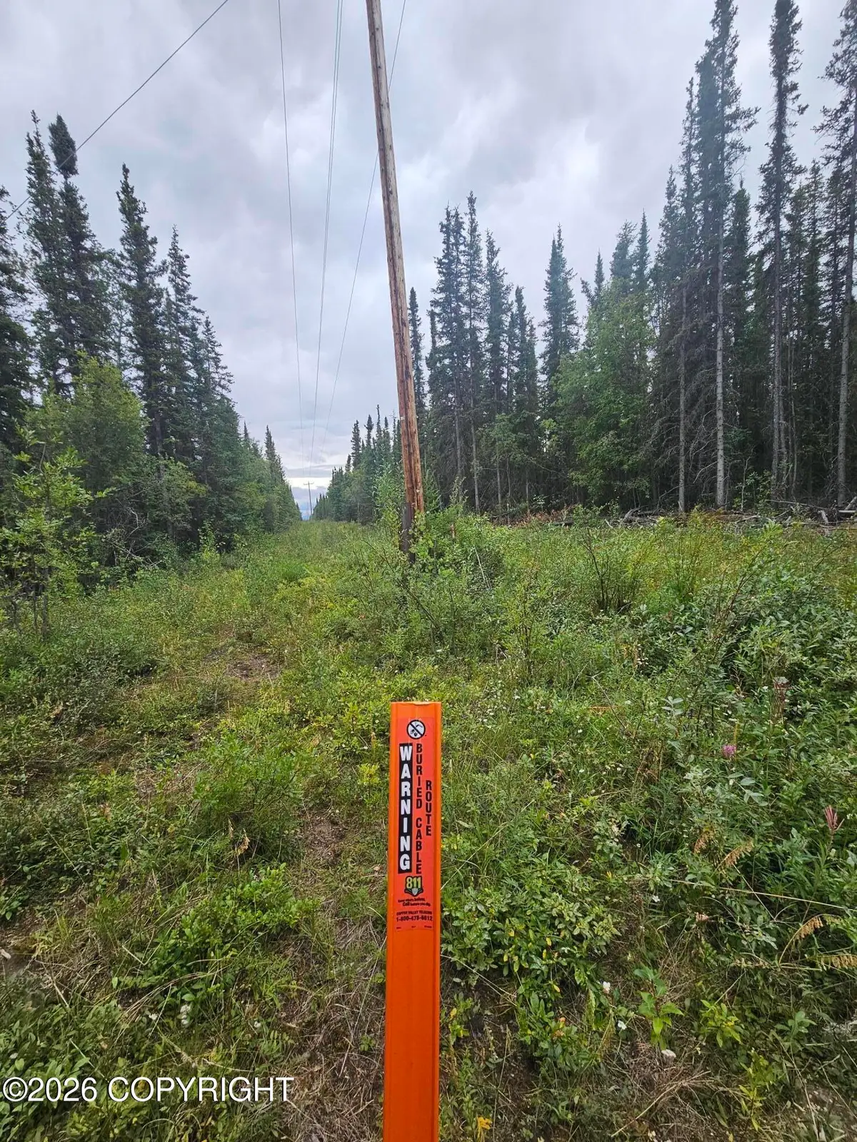 L16 B1 Trapline Drive, Copper Center, AK 99573 - #1