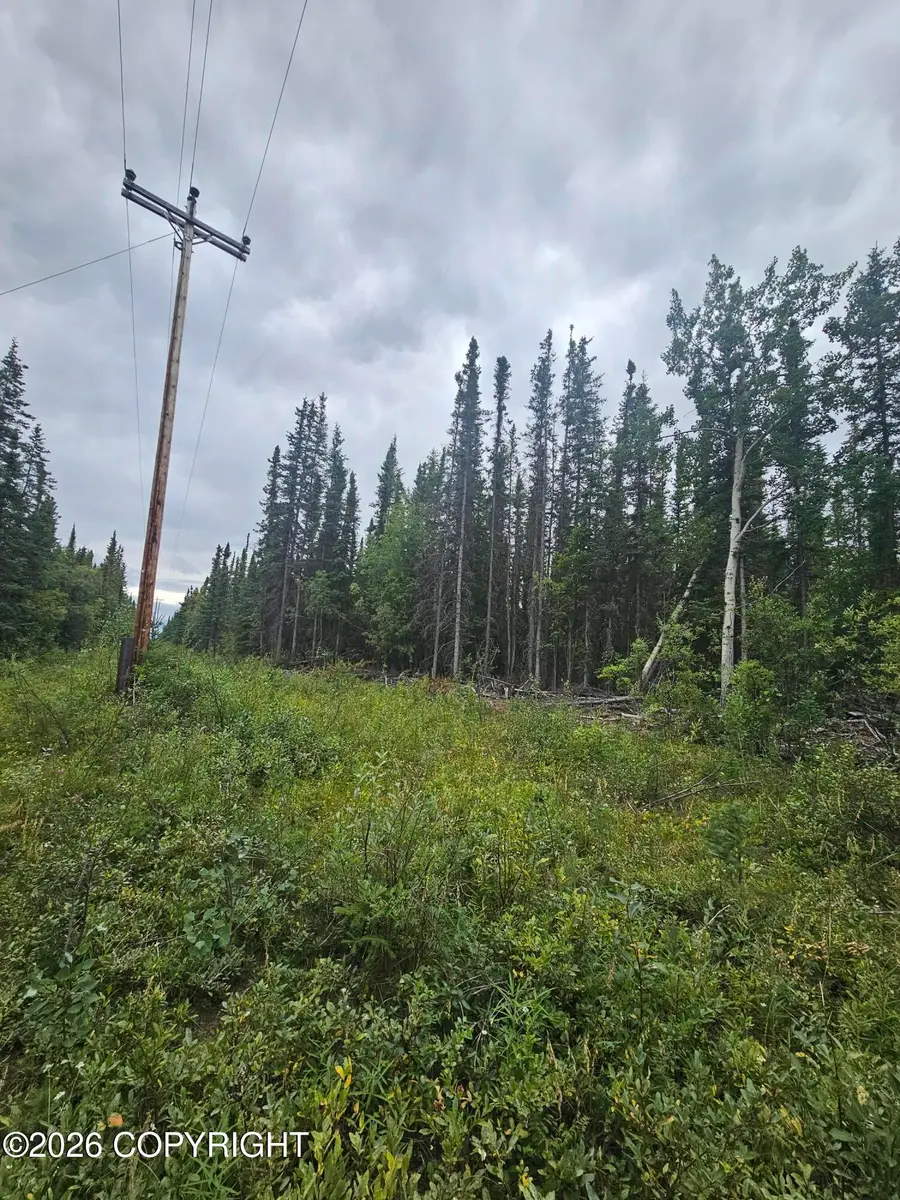 L16 B1 Trapline Drive, Copper Center, AK 99573 - #3