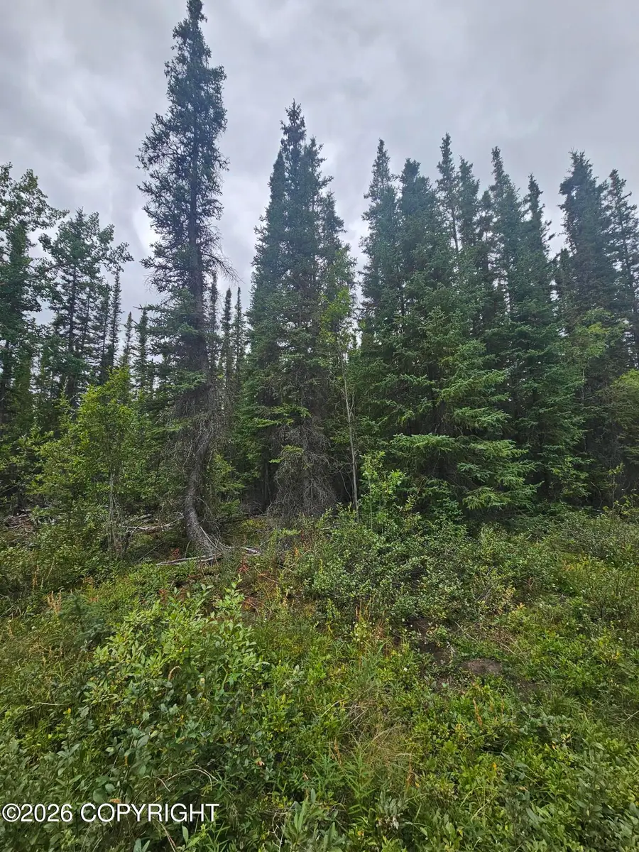 L2 B2 Trapline Drive, Copper Center, AK 99573 - #2