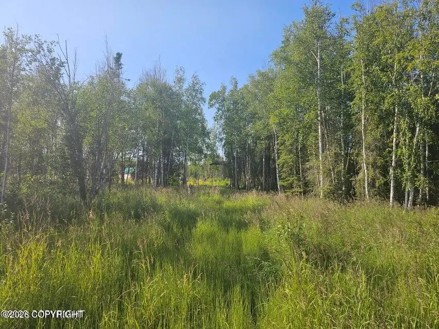 C002 S Tuttle Road, Wasilla, AK 99623 - #2