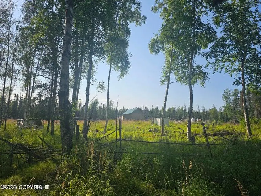 C002 S Tuttle Road, Wasilla, AK 99623 - #3