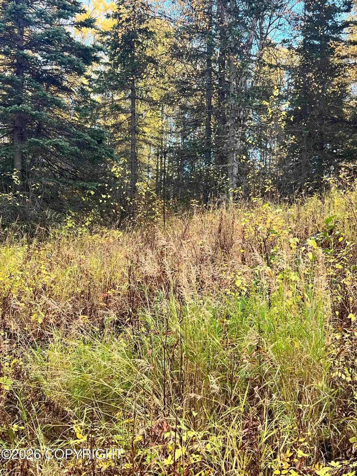 2432 N Barnacle Drive, Wasilla, AK 99623 - #1