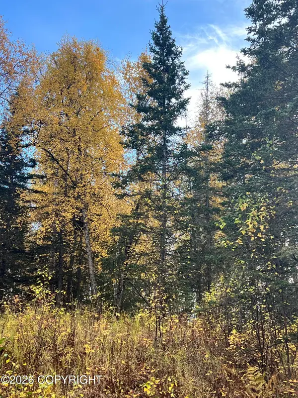 2492 N Barnacle Drive, Wasilla, AK 99623