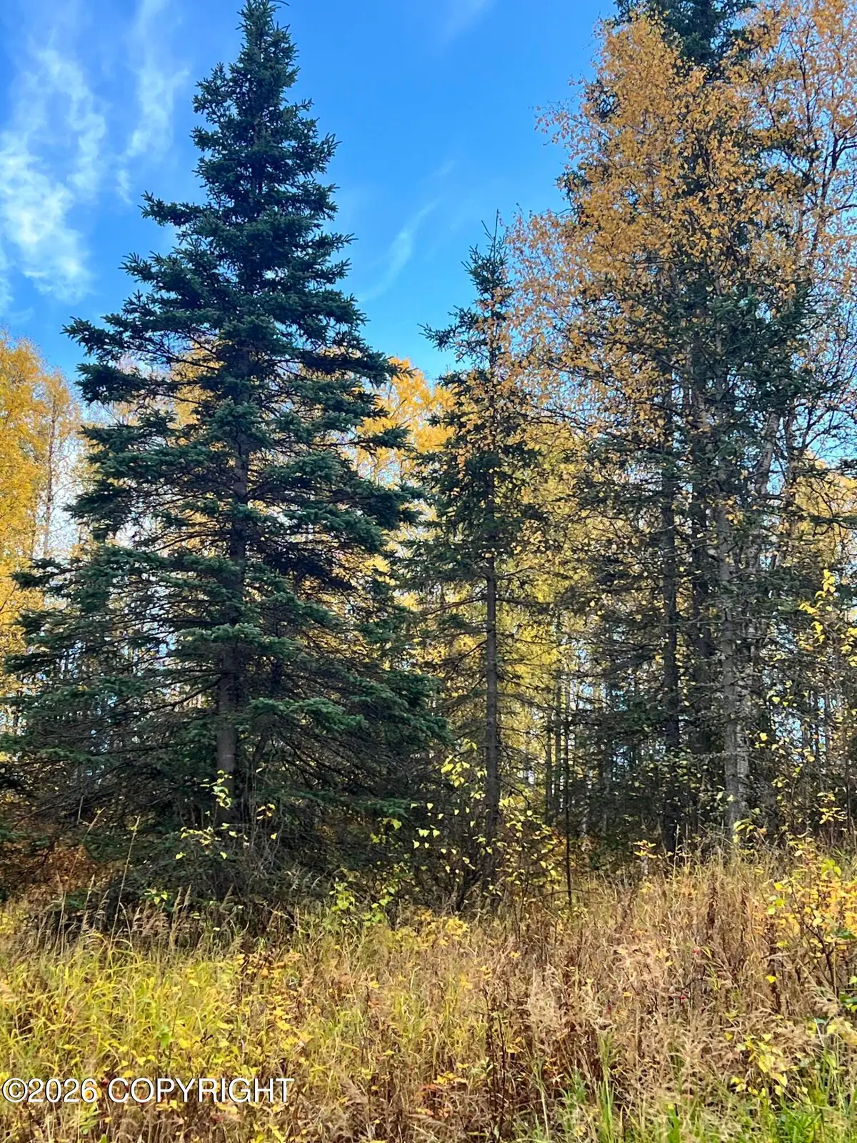 2518 N Barnacle Drive, Wasilla, AK 99623 - #1