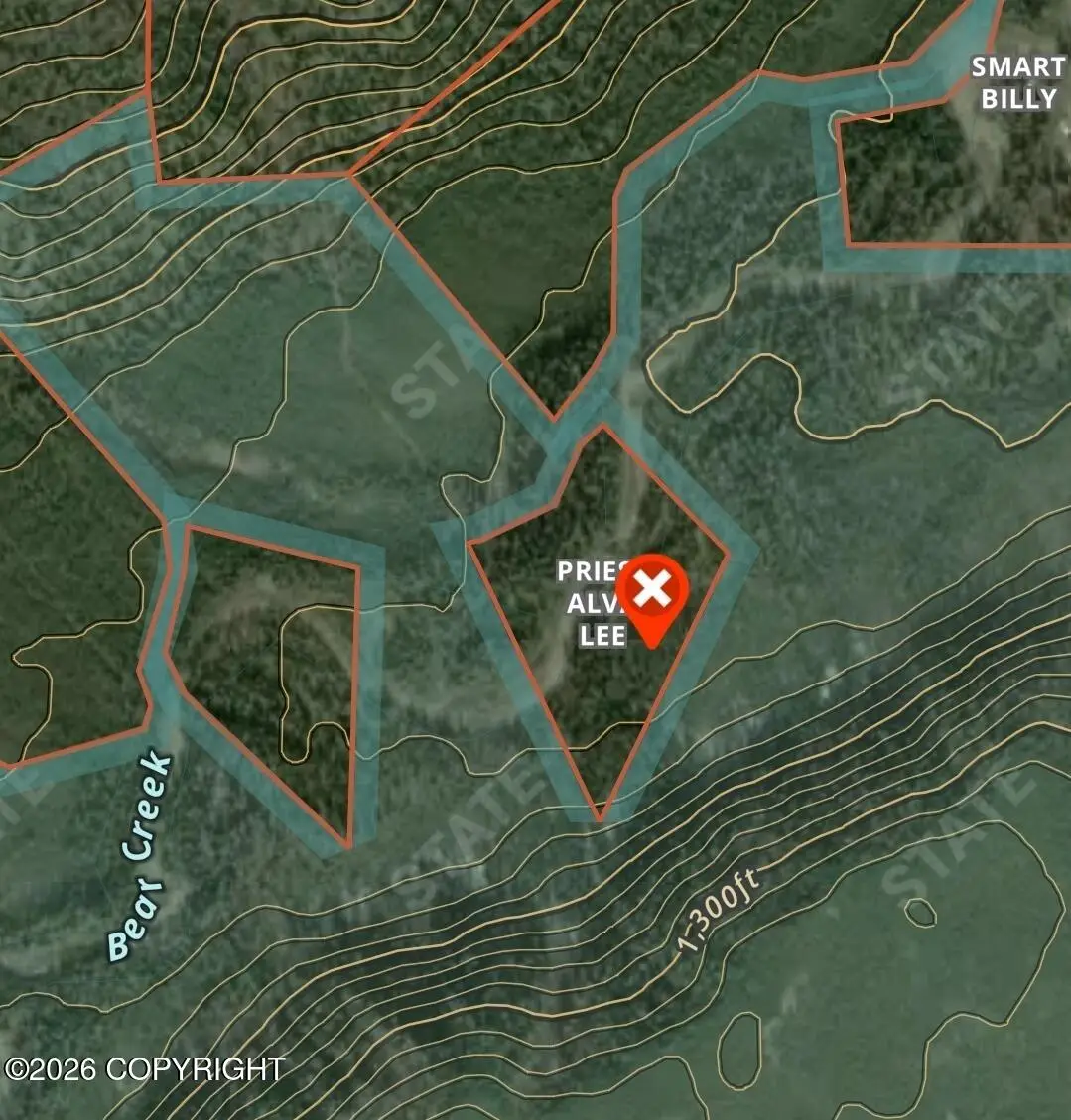 Tract A June Creek Area Asls 84-1, Healy, AK 99743 - #1