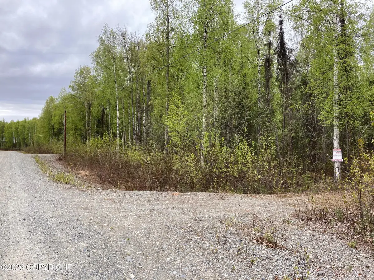 47138 S Merlin Drive, Willow, AK 99688 - #1