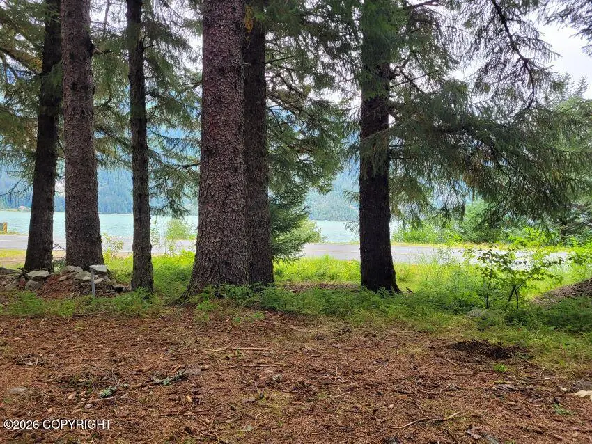 4153 Lutak Road, Haines, AK 99827 - #3