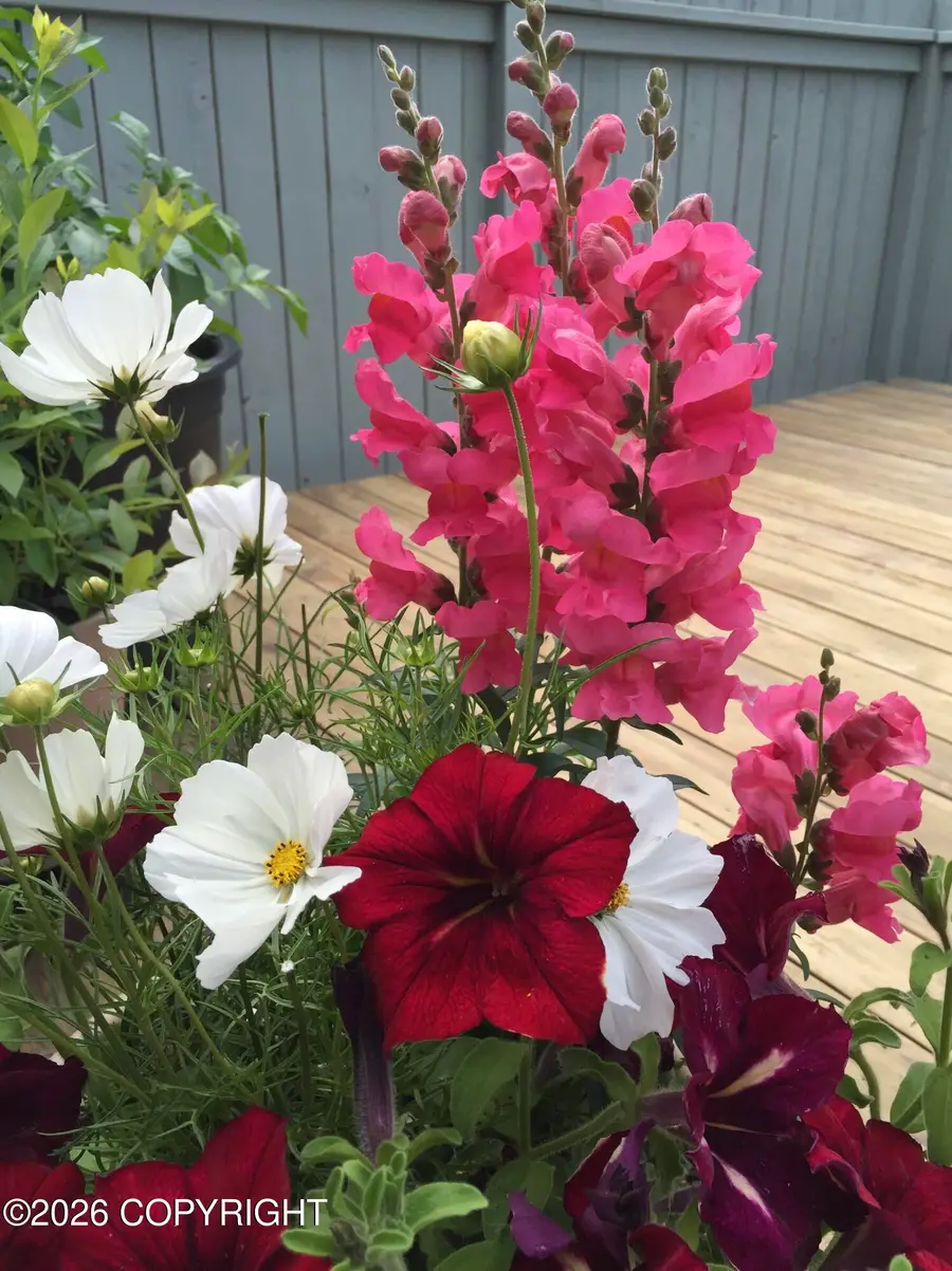 1913 Parkview Circle, Anchorage, AK 99501 - #3