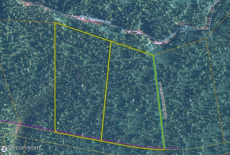 L2 B7 S Bald Mountain, Talkeetna, AK 99676 - #1
