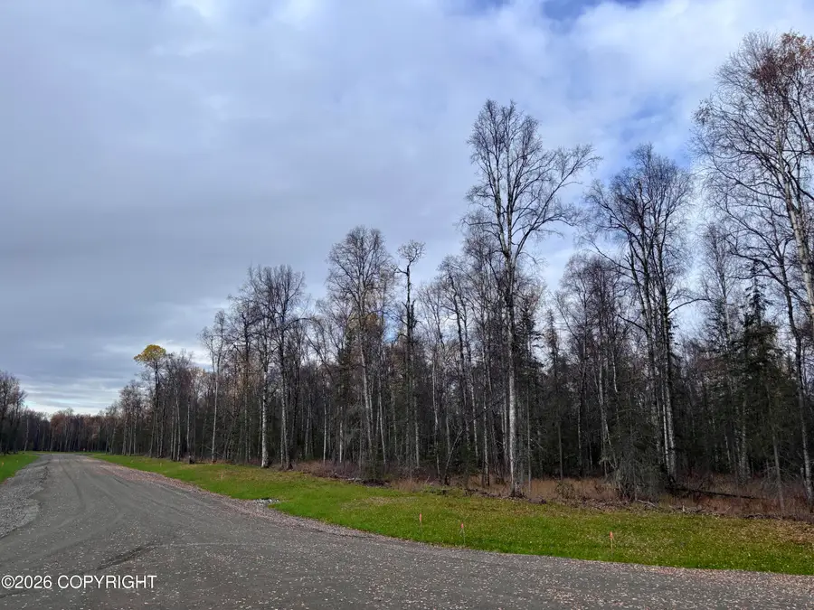 14597 E Sculpin Street, Talkeetna, AK 99676 - #2