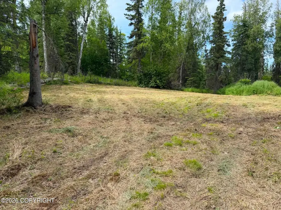 40212 Arrowhead Avenue, Soldotna, AK 99669 - #3