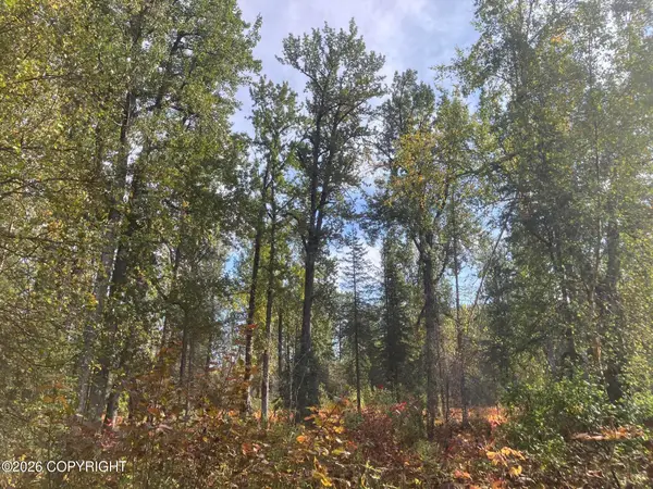 NHN Chase Road, Talkeetna, AK 99676