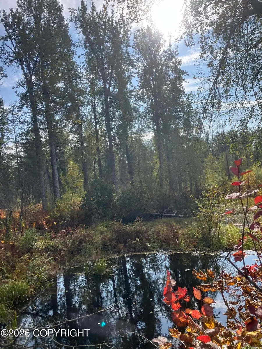 NHN Chase Road, Talkeetna, AK 99676 - #2