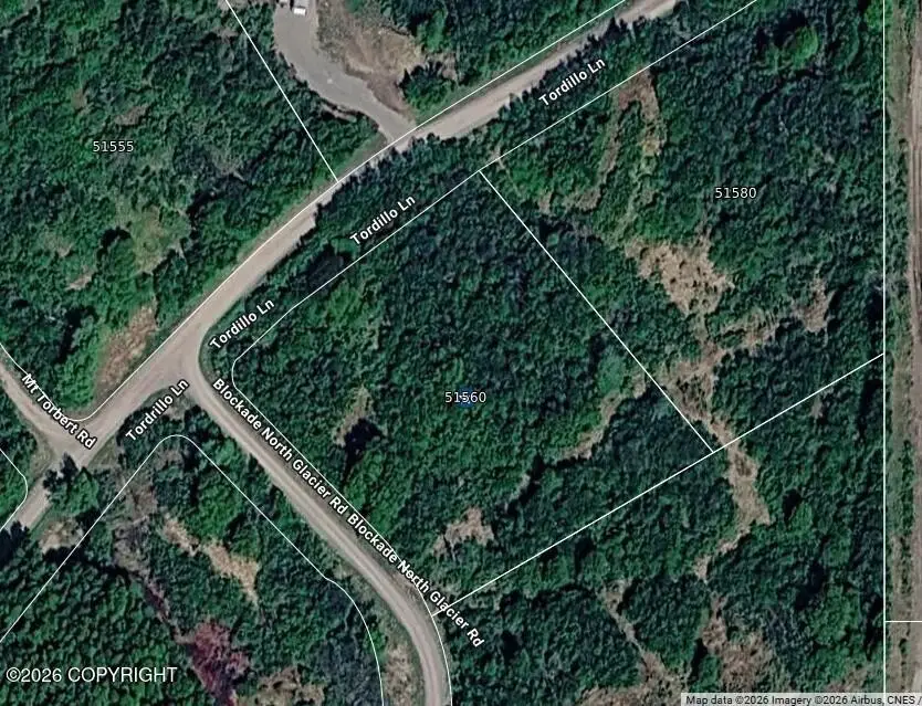 51560 Tordrillo Lane, Nikiski, AK 99635 - #2
