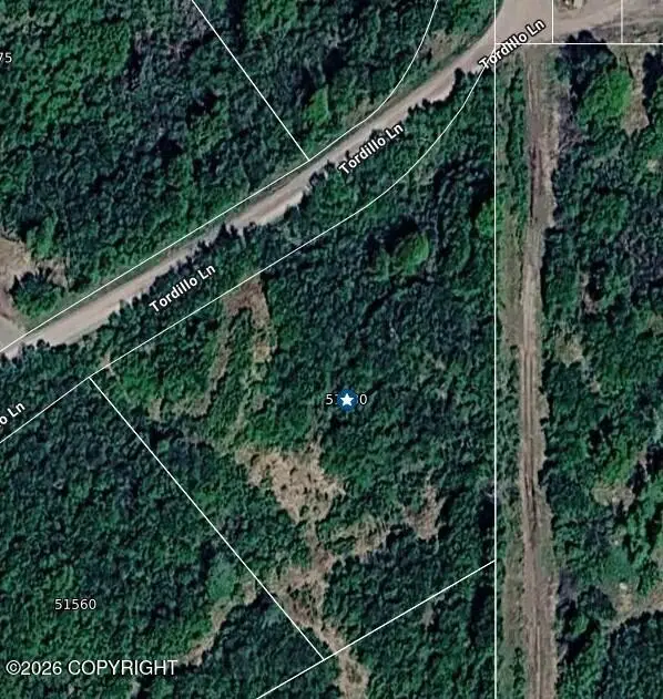 51580 Tordrillo Lane, Nikiski, AK 99635 - #2