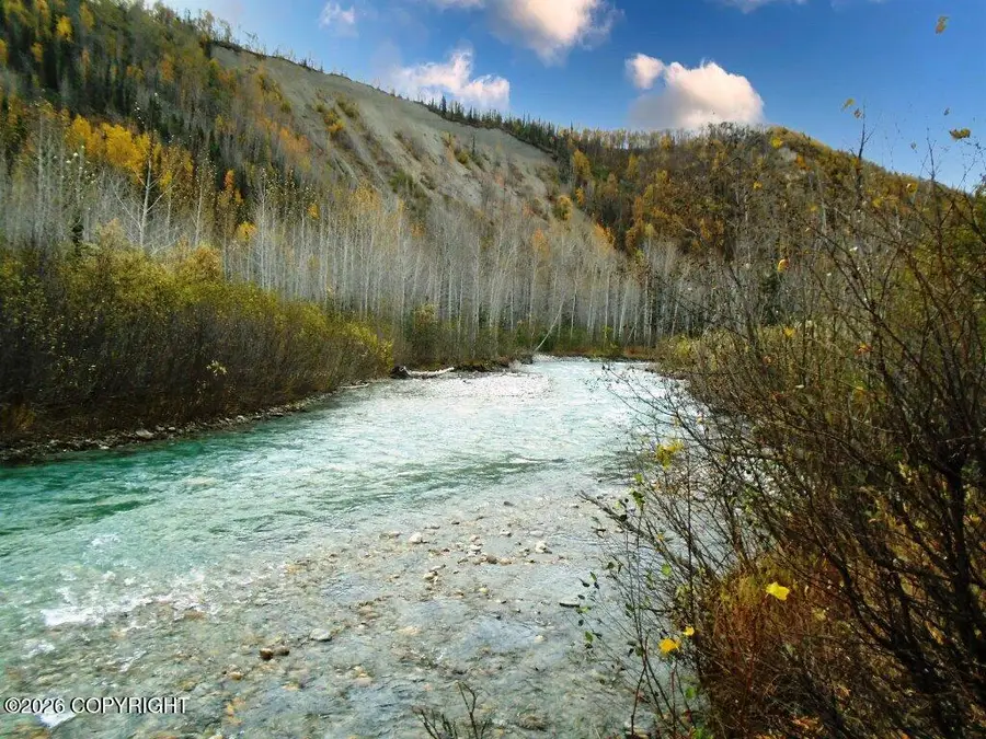 C002 King River, Sutton, AK 99674 - #2