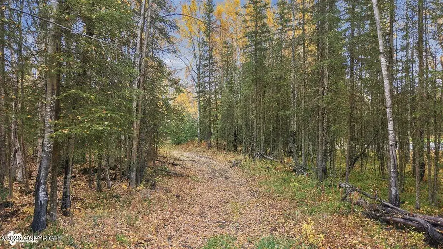 39414 Flatstone Court, Soldotna, AK 99669 - #2