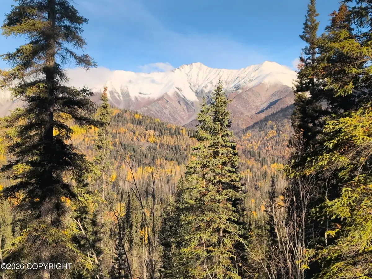 NHN Mccarthy, Chitina, AK 00000 - #1