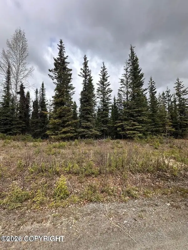 36915 Dutch Landing Loop, Sterling, AK 99672