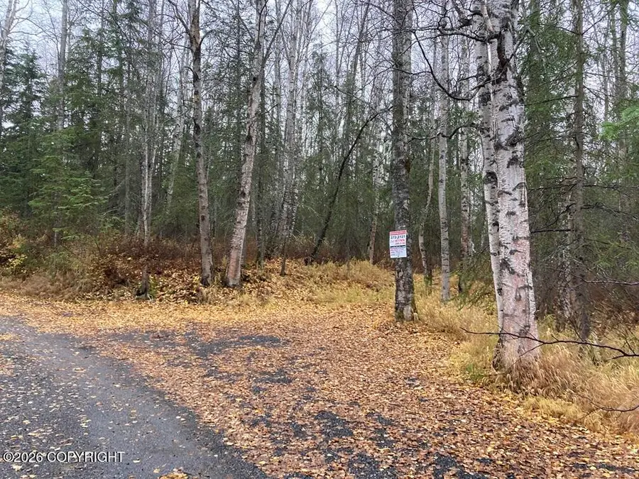 Tract A Daisy Circle, Anchorage, AK 99507 - #3