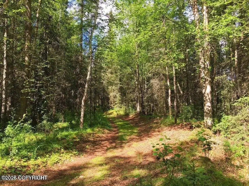 4711 Mills Drive #101, Anchorage, AK 99508 - #2