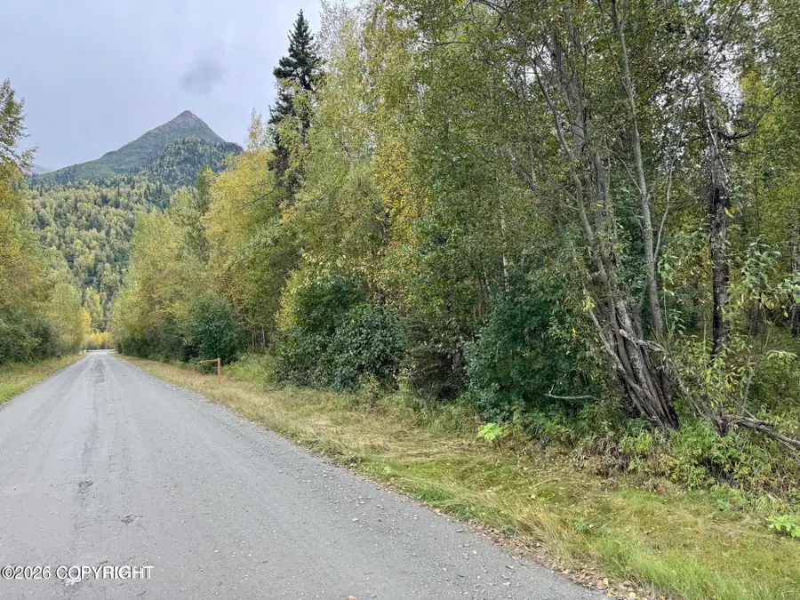 8593 S River Drive, Palmer, AK 99645 - #3