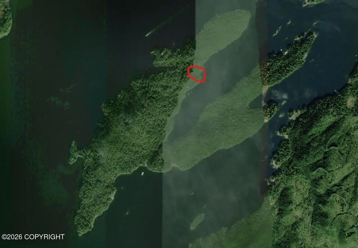 no Bull Island In George Inlet, Remote, AK 99901 - #1