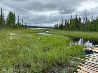 NHN Asls 78-082 Unnamed Lake, Trapper Creek, AK 99683 - #3