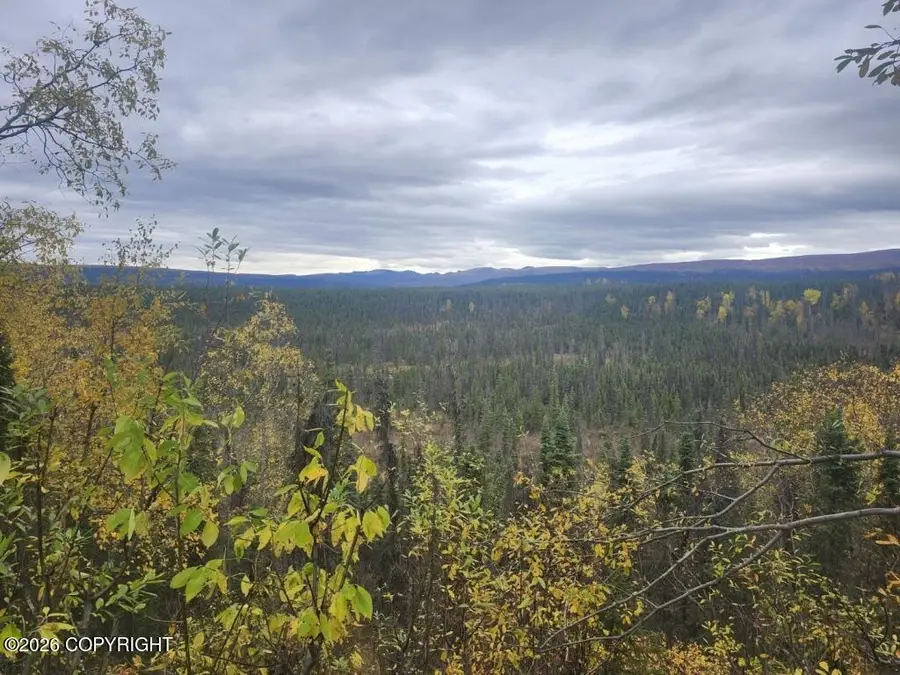 12643 W Snowberry Road, Willow, AK 99688 - #2