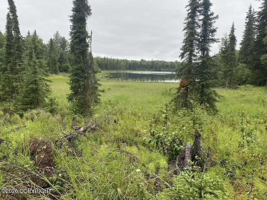 24555 Constellation, Kasilof, AK 99610 - #3