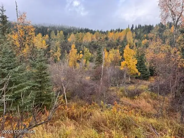 38740 Mushroom Street, Homer, AK 99603