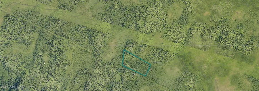 89-135 Alaska State Land Survey, Homer, AK 99603 - #2