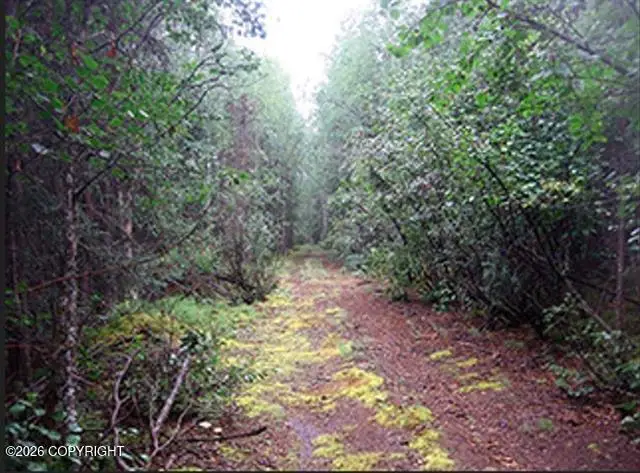 L12 B3 Riverview, Fairbanks, AK 99701 - #3