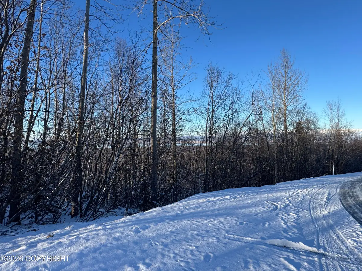 NHN Mountain Road, Chugiak, AK 99567 - #1