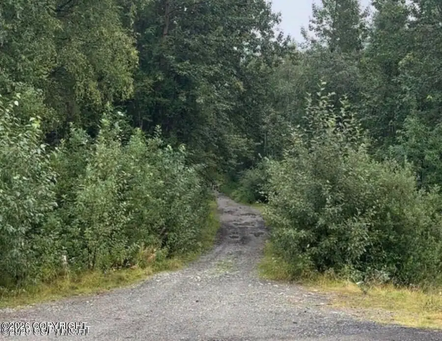 24013 W Johnson Drive, Willow, AK 99688 - #2