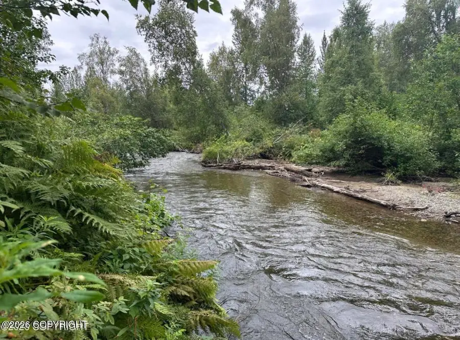 24041 W Johnson Drive, Willow, AK 99688 - #3