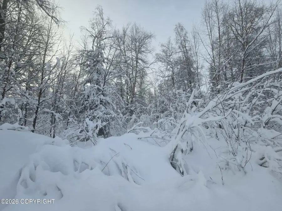 L410 E Rodnreel Avenue, Willow, AK 99688 - #2