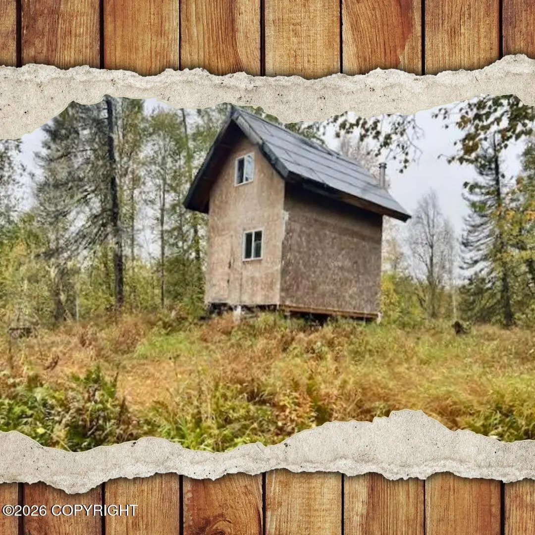 92-135 Asls Trail, Talkeetna, AK 99676 - #1