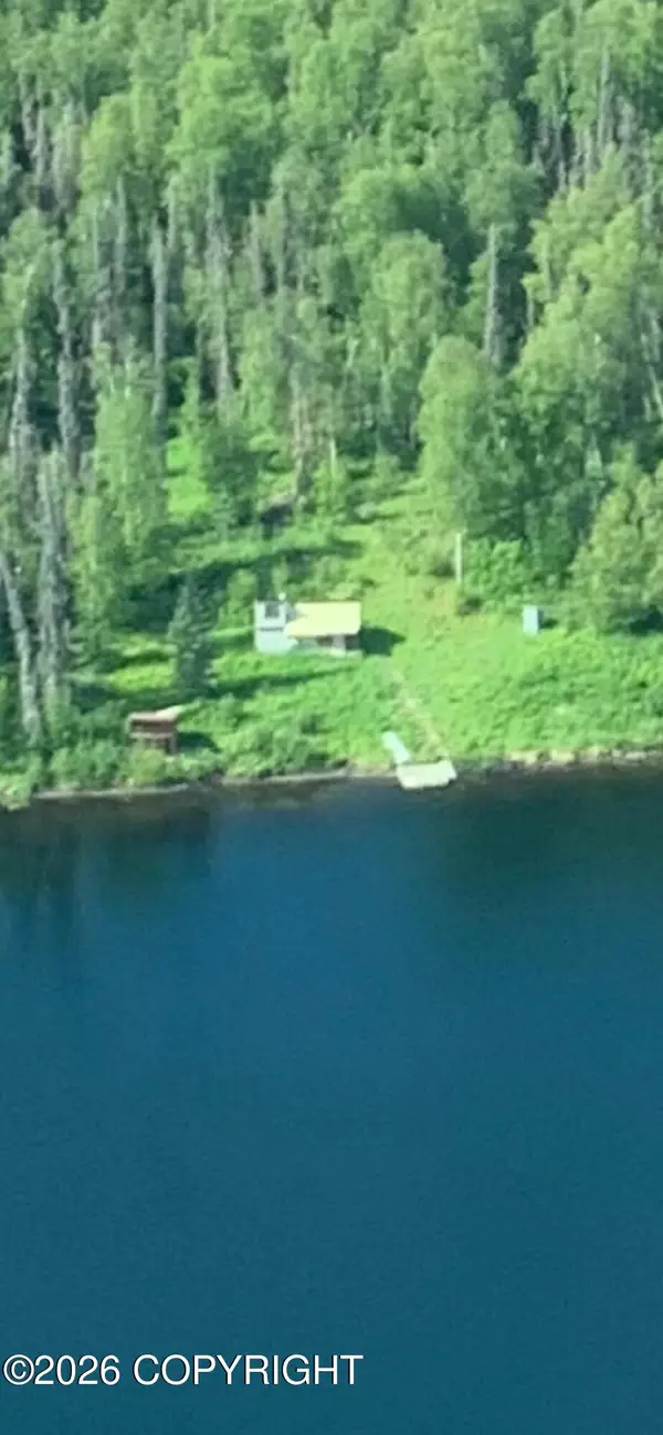 Tr A Asls 77-118, Skwentna, AK 99000