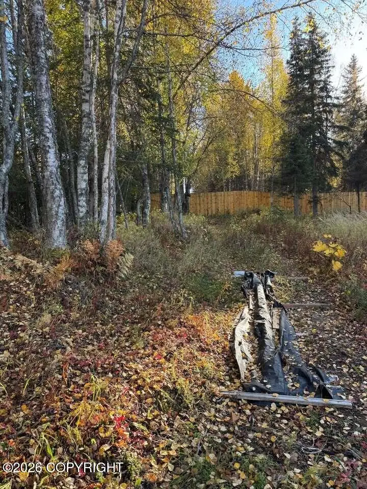 000 Reflection Lake Road, Kasilof, AK 99610 - #3