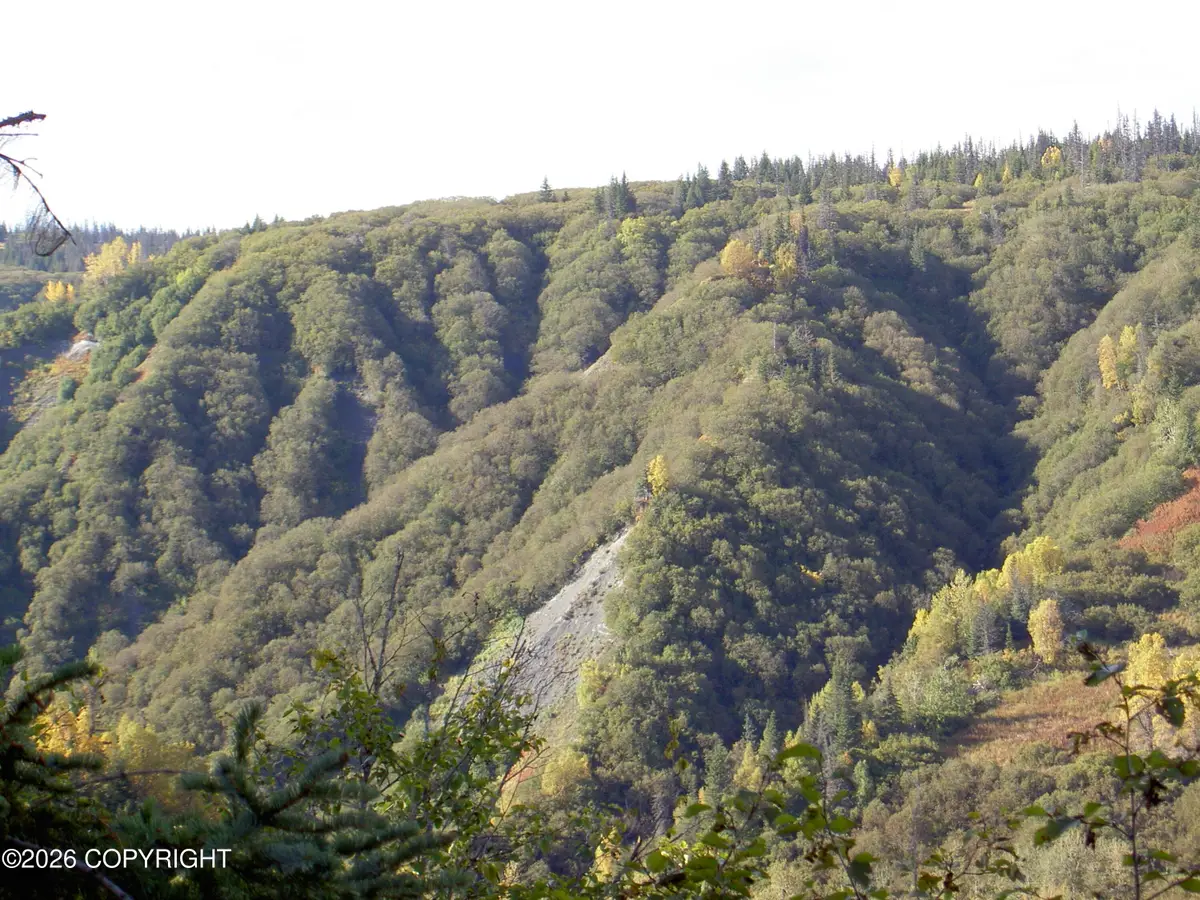 ASLS 91-13 Caribou Lake, Ninilchik, AK 99639 - #1