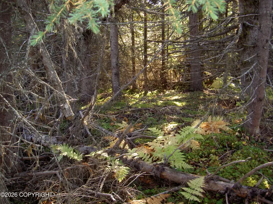 ASLS 91-13 Caribou Lake, Ninilchik, AK 99639 - #3